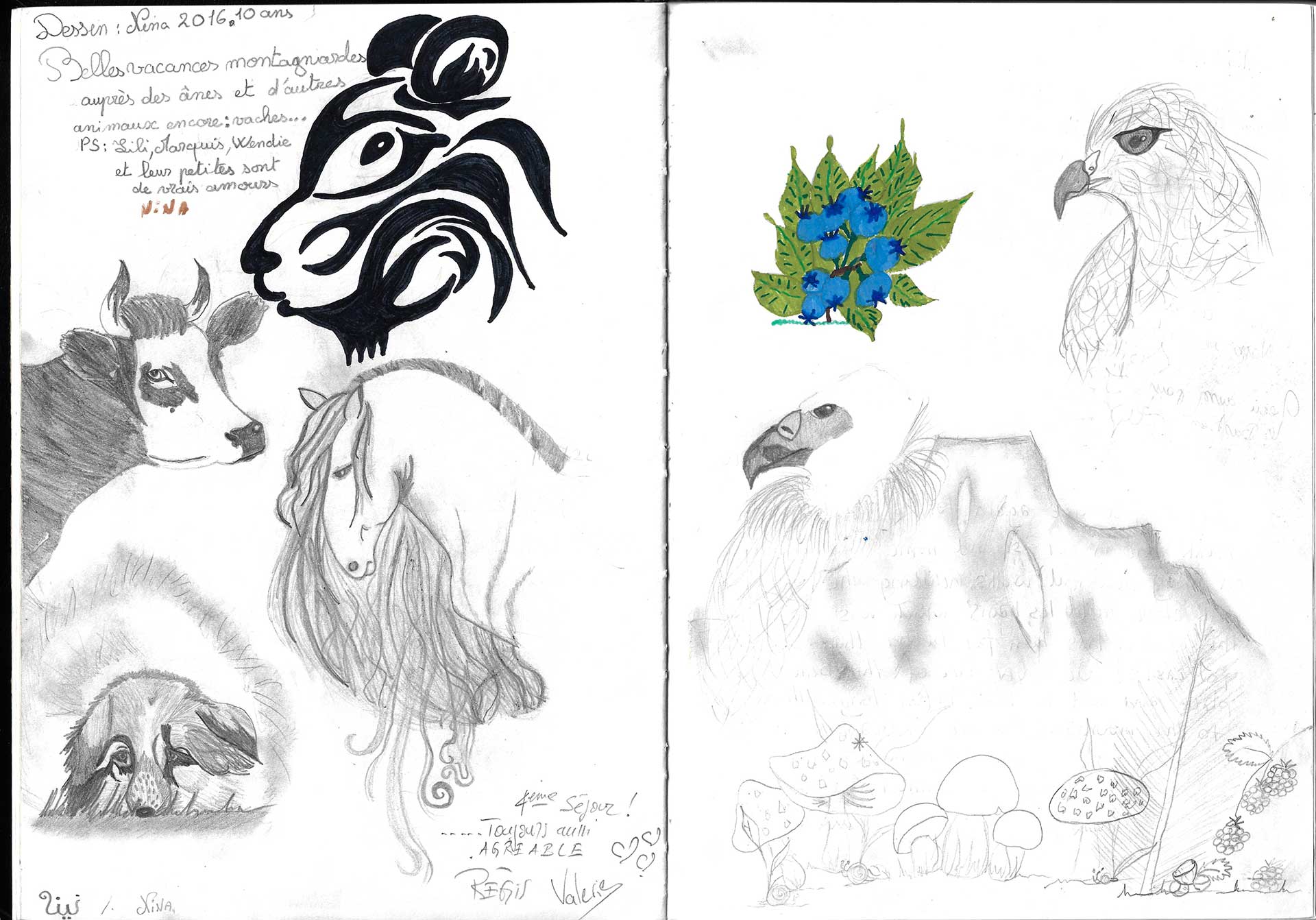 Guestbook image gite ariege